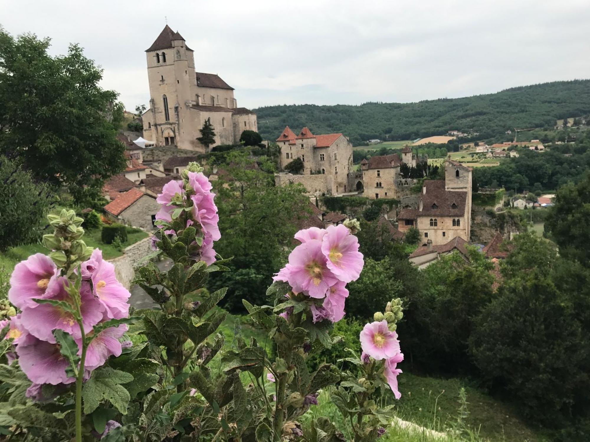 Manoir De Rieuzal Bed & Breakfast Loubressac Bagian luar foto