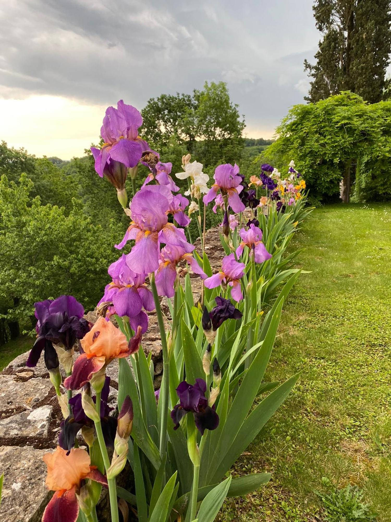 Manoir De Rieuzal Bed & Breakfast Loubressac Bagian luar foto