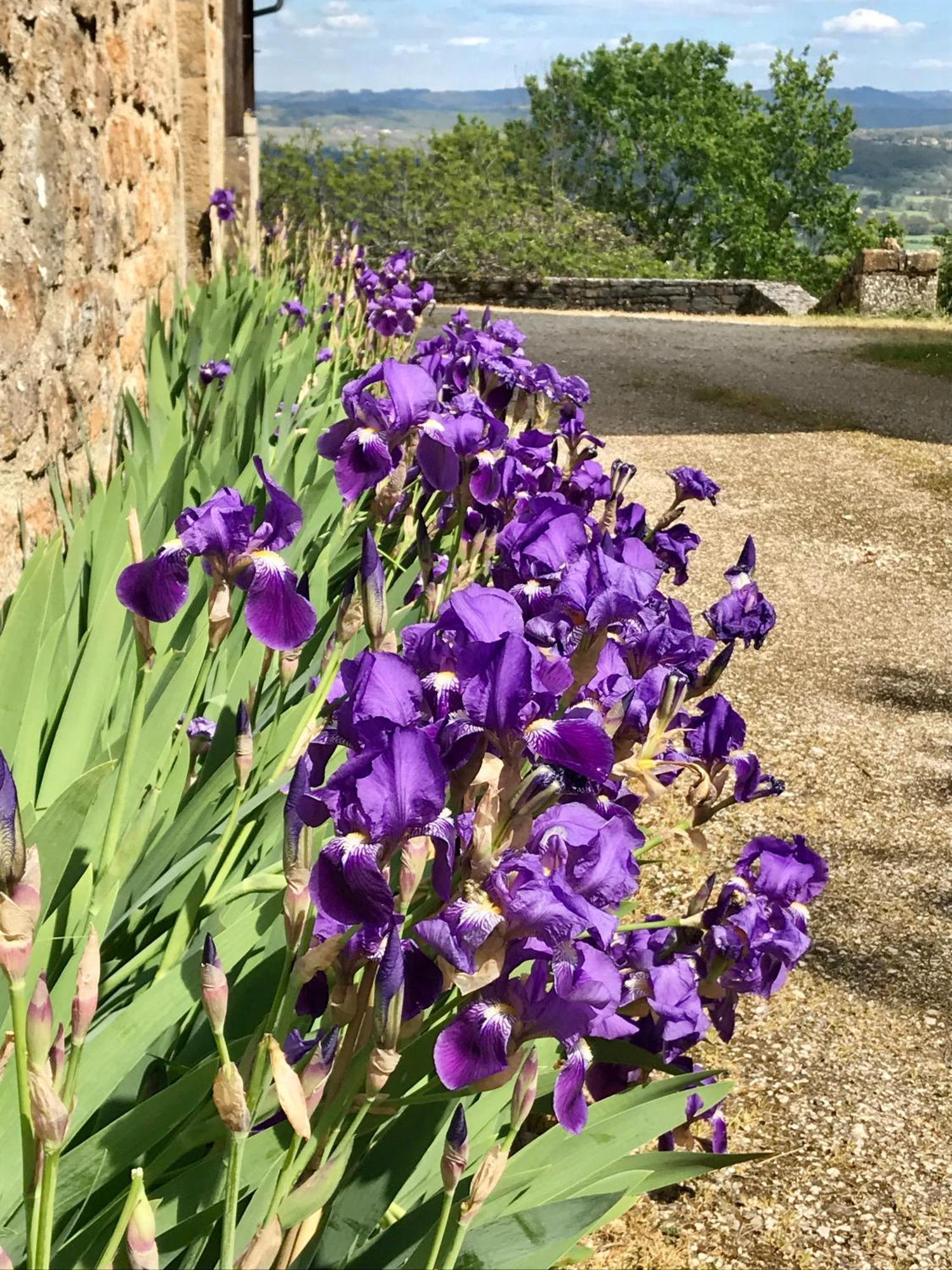 Manoir De Rieuzal Bed & Breakfast Loubressac Bagian luar foto