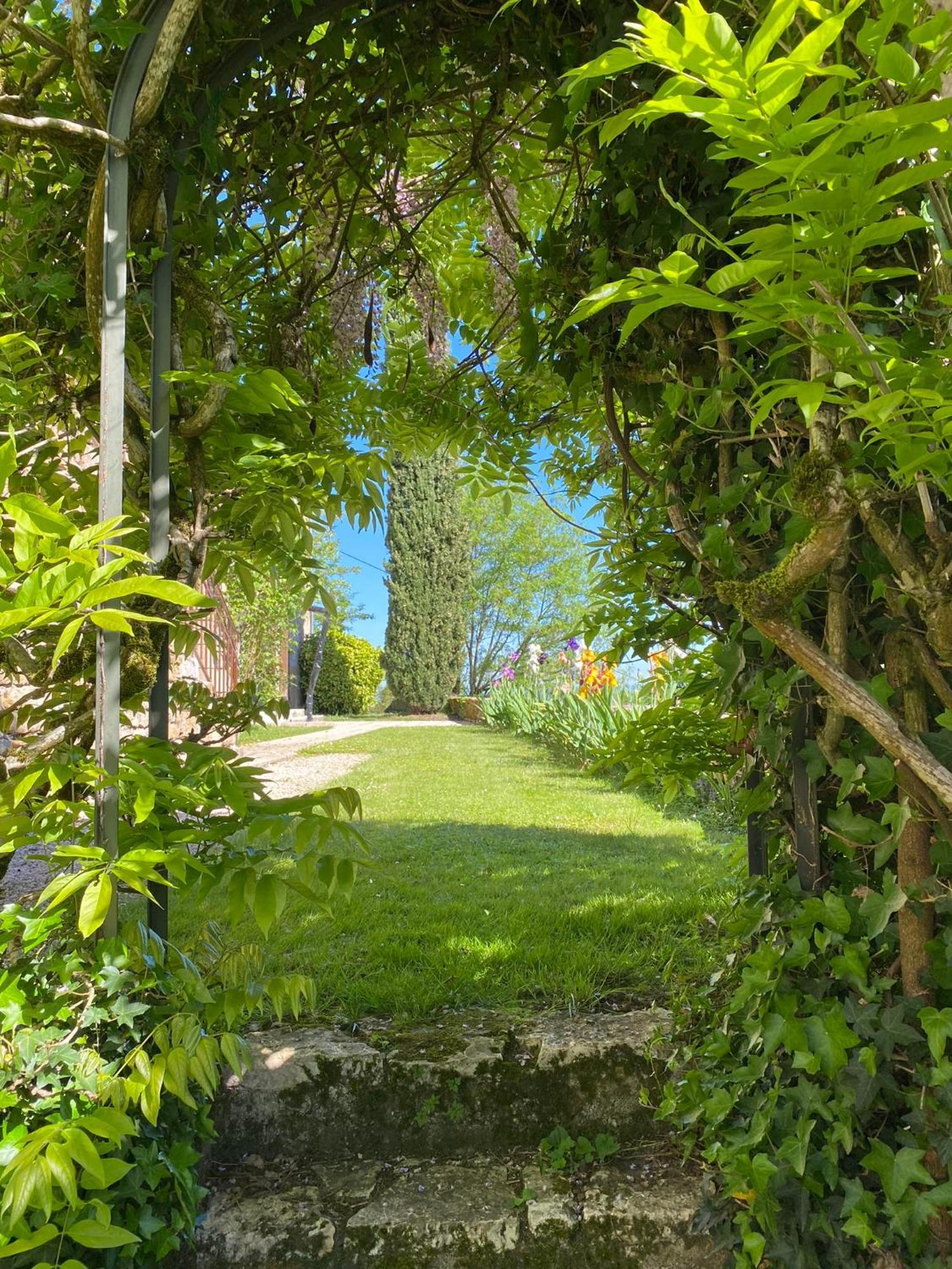 Manoir De Rieuzal Bed & Breakfast Loubressac Bagian luar foto