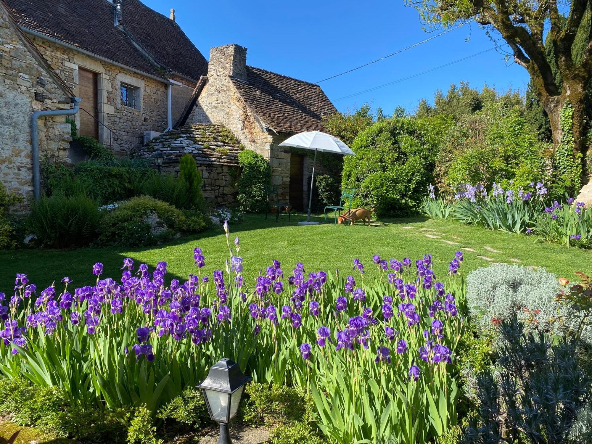 Manoir De Rieuzal Bed & Breakfast Loubressac Bagian luar foto
