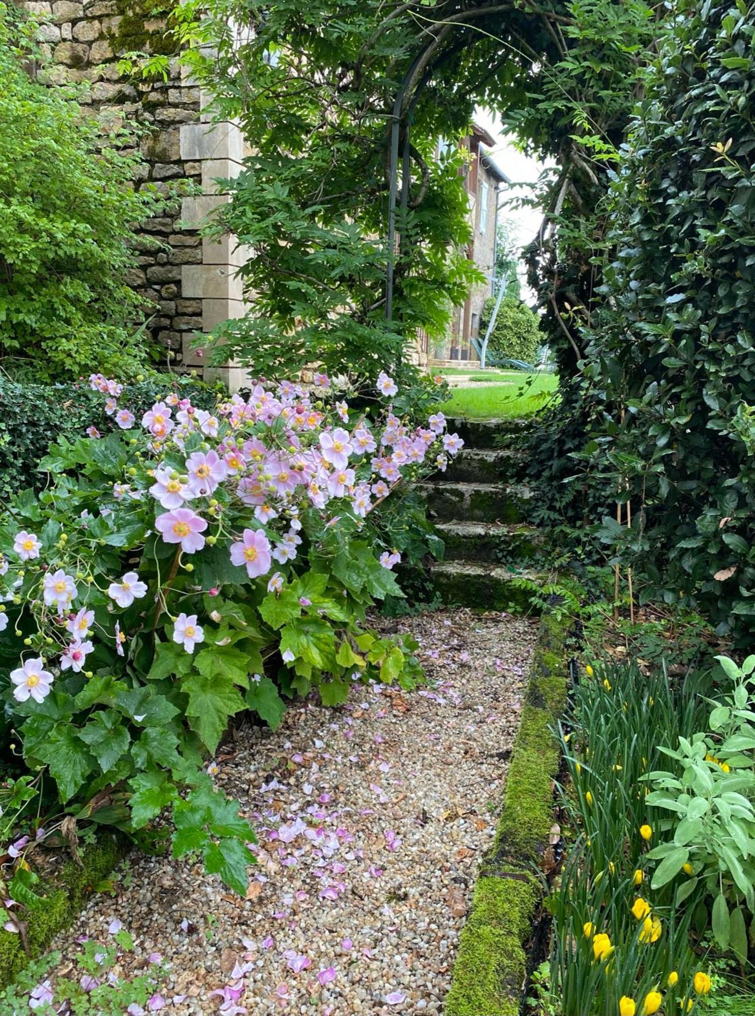 Manoir De Rieuzal Bed & Breakfast Loubressac Bagian luar foto