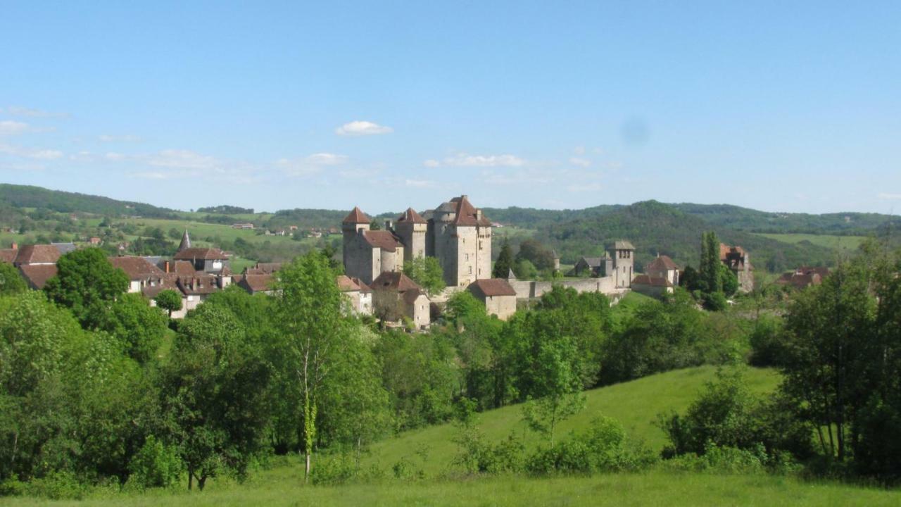 Manoir De Rieuzal Bed & Breakfast Loubressac Bagian luar foto